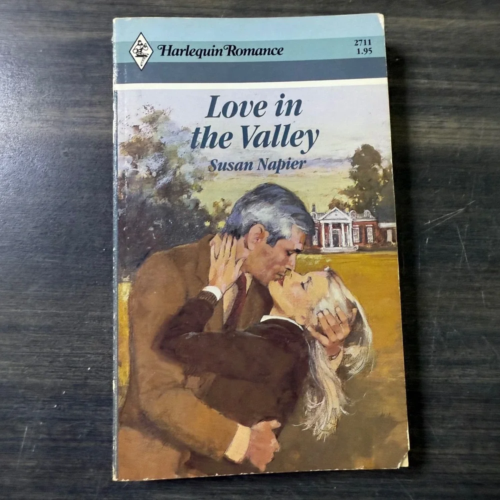 Harlequin Romance Love in the Valley Susan Napier Vintage Paperback‎ Book